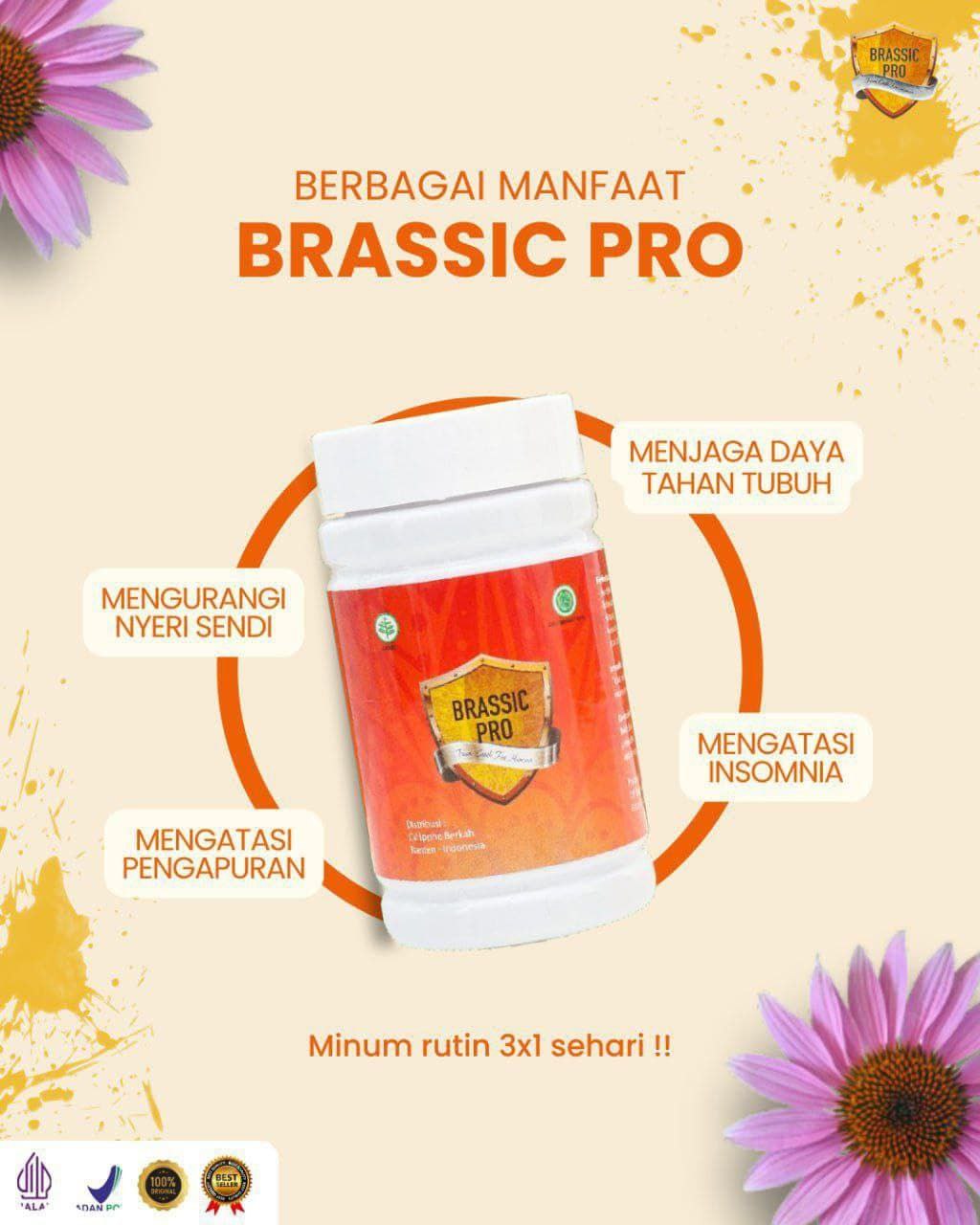 Brassic Pro